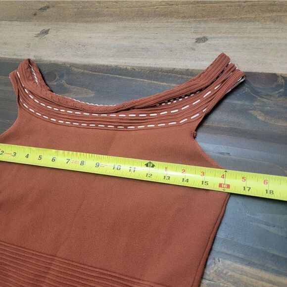 Eva Mendes NY & Co Bodycon Midi Brown Dress Sleeveless Stripes Career Size M - Picture 6 of 8